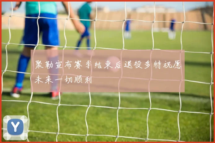 聚勒宣布赛季结束后退役多特祝愿未来一切顺利