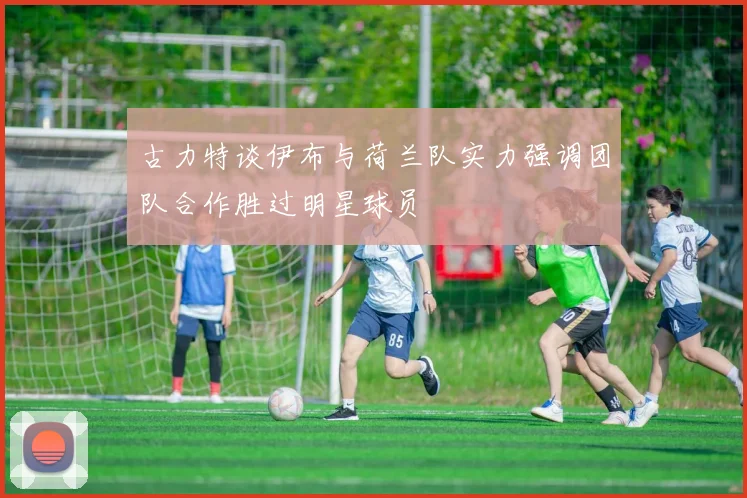 古力特谈伊布与荷兰队实力强调团队合作胜过明星球员