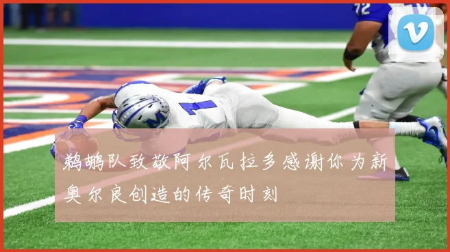 鹈鹕队致敬阿尔瓦拉多感谢你为新奥尔良创造的传奇时刻